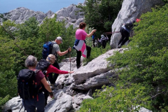 velebit-sl004