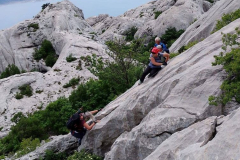 velebit-sl013