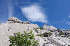 velebit-sl019