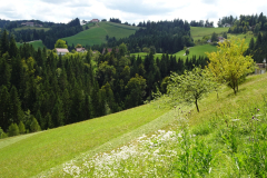 Saleska_2025_08_24_25