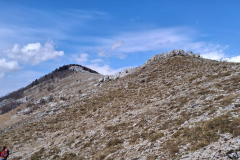 Hahlici3