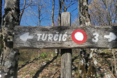 10_Ostri_Medvjedjak