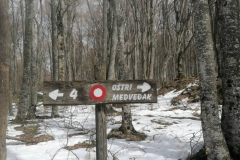 3_Ostri_Medvjedjak