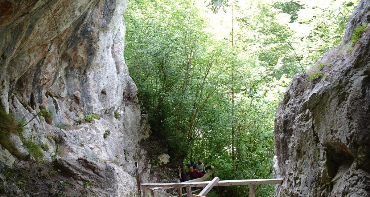 KAMNIŠKO SAVINJSKE ALPE: ŠALEŠKI PLANINARSKI PUT – dio  13.06.2026.